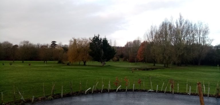 Read more about the article Town Meadow Golf: Update