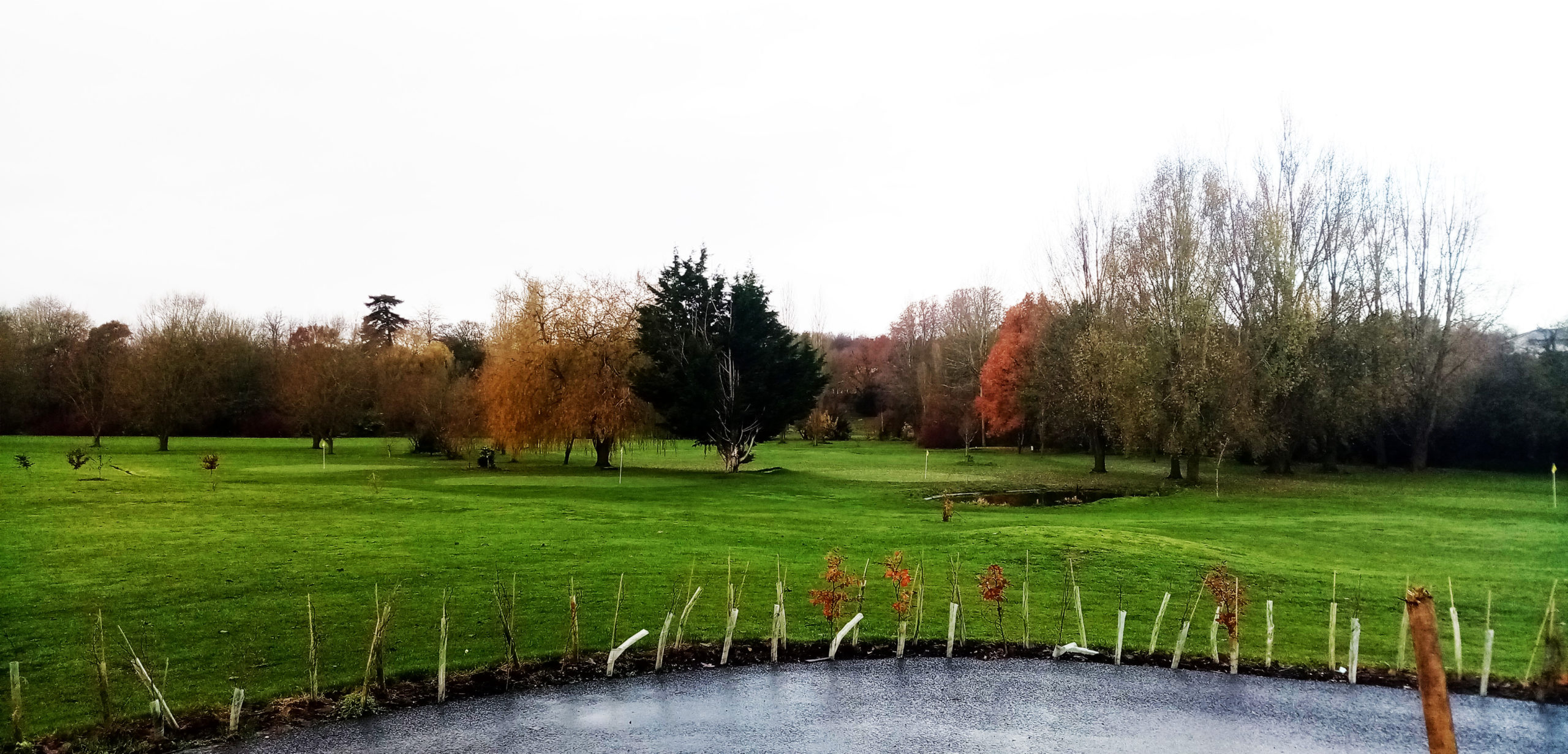 Read more about the article Update from Town Meadow Golf Club
