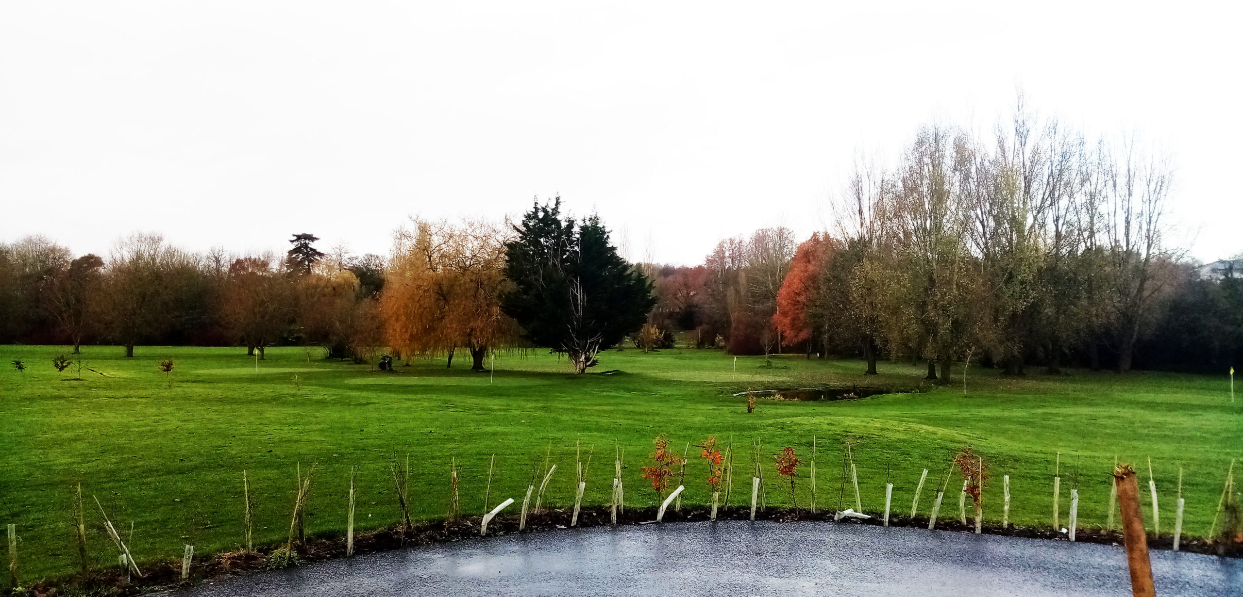 Town Meadow Golf Club